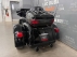 Image 10.