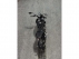 Image 6.