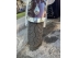 Image 5.