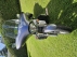 Image 3.